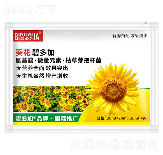 葵花碧多加-鑫禾生物