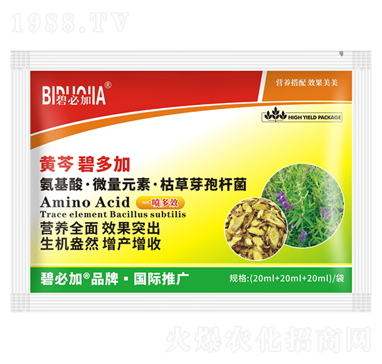 黃芩碧多加-鑫禾生物