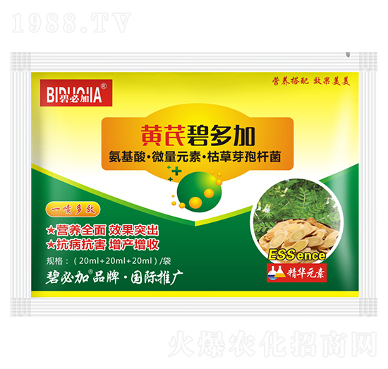 黃芪碧多加-鑫禾生物