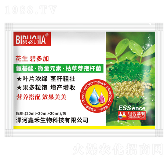 花生碧多加-鑫禾生物