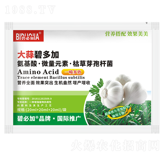 大蒜碧多加-鑫禾生物