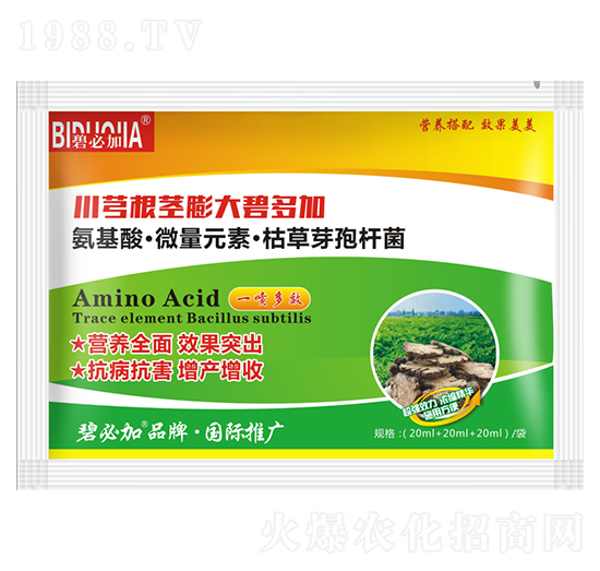 川穹根莖膨大碧多加-鑫禾生物