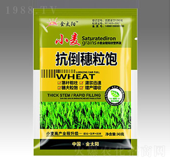 小麥抗倒穗粒飽-金禾生物