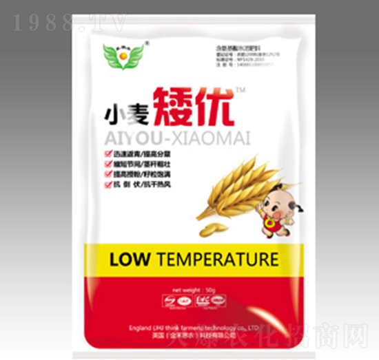 小麥矮優(yōu)-金禾生物