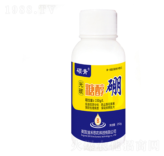 ��̼�Ǵ���-�T��-�������