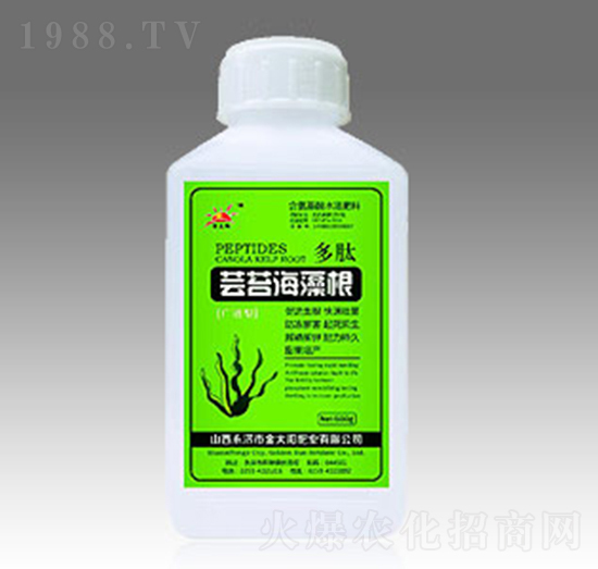 蕓苔海藻根-金禾生物