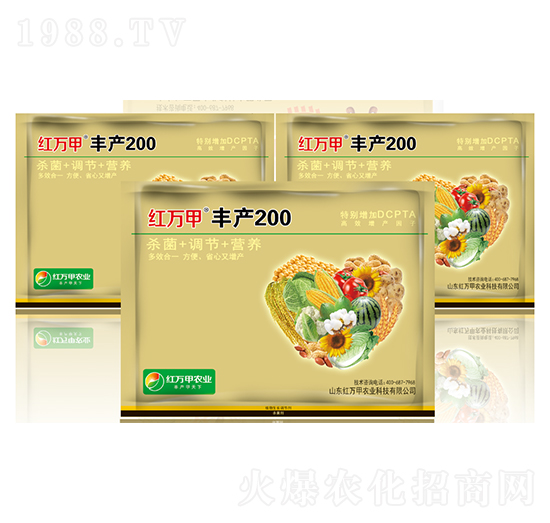 豐產(chǎn)200-紅萬甲
