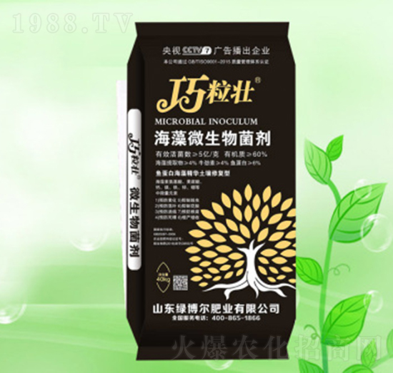 海藻微生物菌劑-巧粒壯-綠博爾肥業(yè)