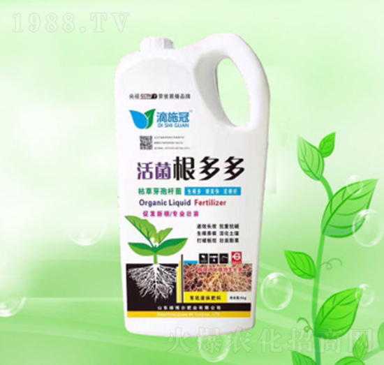 活菌根多多-綠博爾肥業(yè)