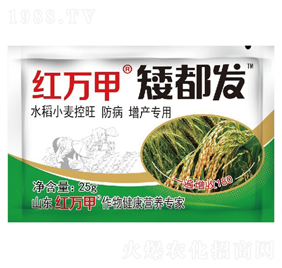 矮都發(fā)-花生大豆專用-紅萬(wàn)甲