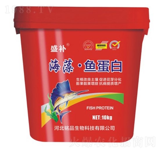 海藻·魚蛋白-盛補(bǔ)-銘品生物