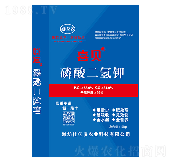 ��������-ϲؐ-�у|��