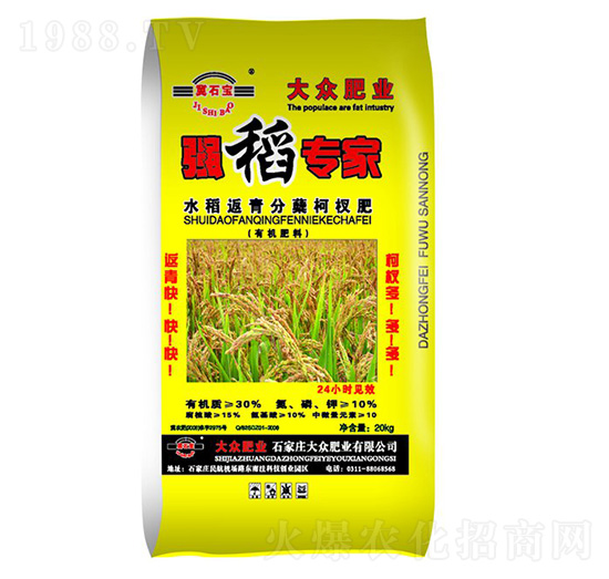 水稻專(zhuān)用返青分蘗柯杈肥-強(qiáng)稻專(zhuān)家-大眾肥業(yè)