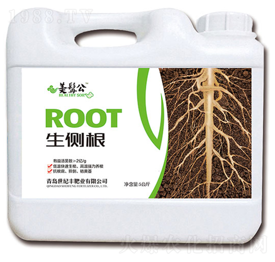 生側(cè)根-美髯公-世紀(jì)豐