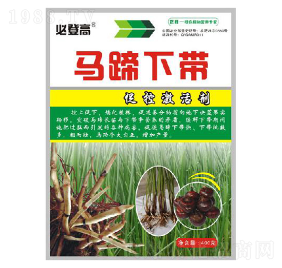 馬蹄下帶活性劑-正旺農(nóng)肥