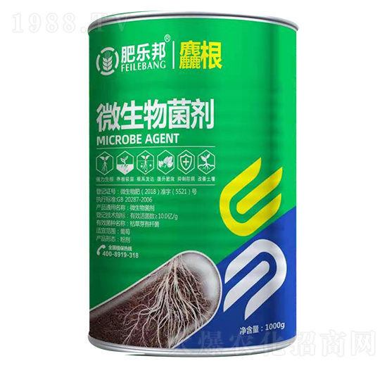 ΢�������-����-�׶���