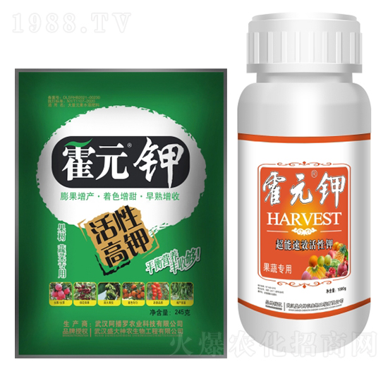 ��Ԫ⛹�����-ʢ������