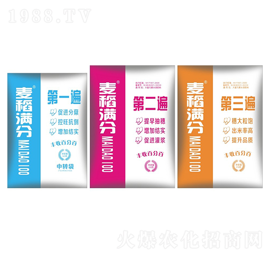 �����M��-ʢ������