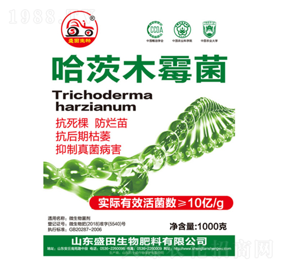 ����ľù��-ʢ������