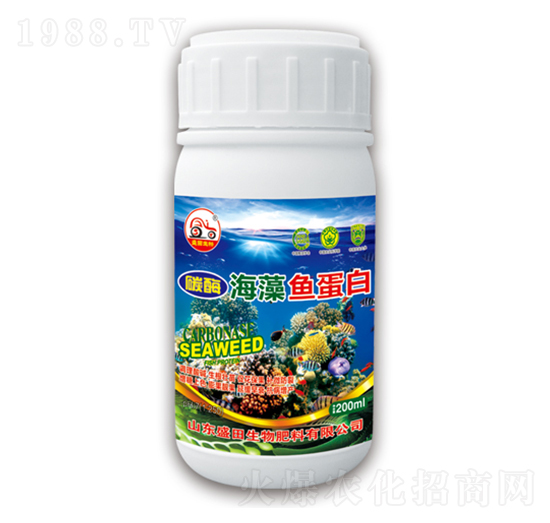 �����~����-ʢ������