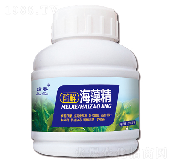 ø�⺣�徫-��-���r(n��ng)