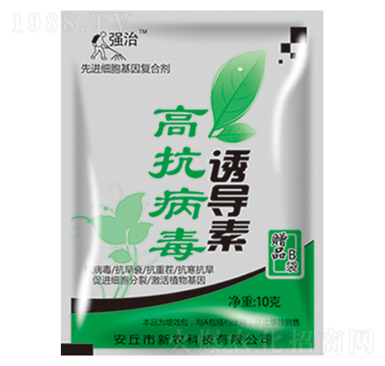 �߿������T��(d��o)��-����-���r(n��ng)