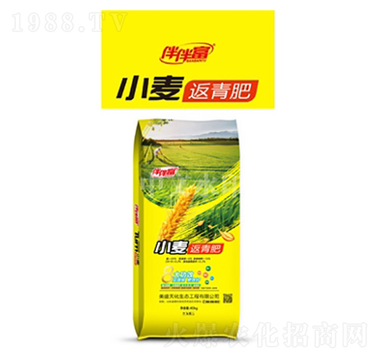 小麥返青肥-伴伴富-中農(nóng)三禾