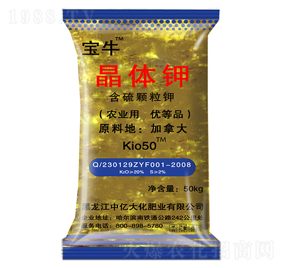 ���w�-��ţ-����