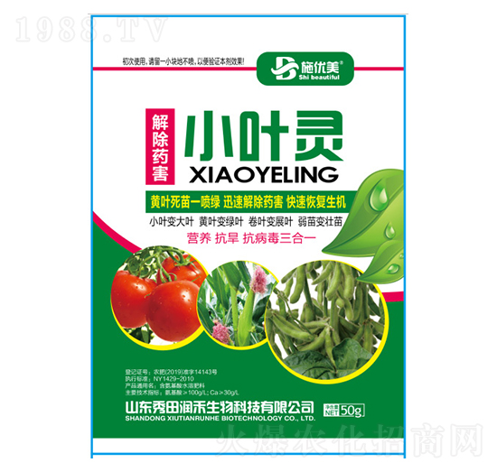 小葉靈-秀田潤(rùn)禾