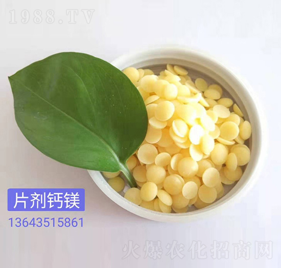 片劑鈣鎂（黃）-嵐鑫生物