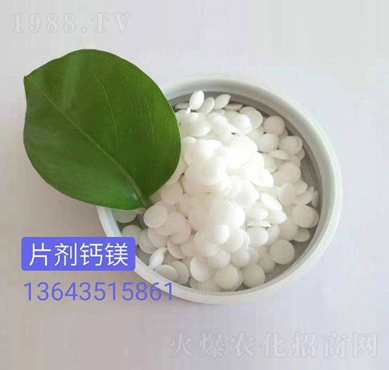 片劑鈣鎂（白）-嵐鑫生物