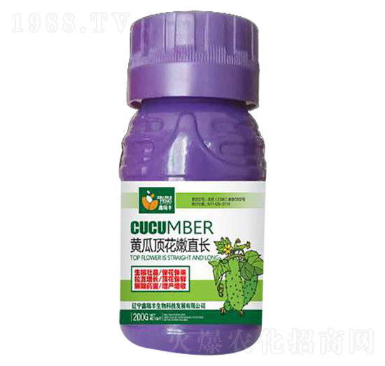 黃瓜頂花嫩直長(zhǎng)-鑫瑞豐