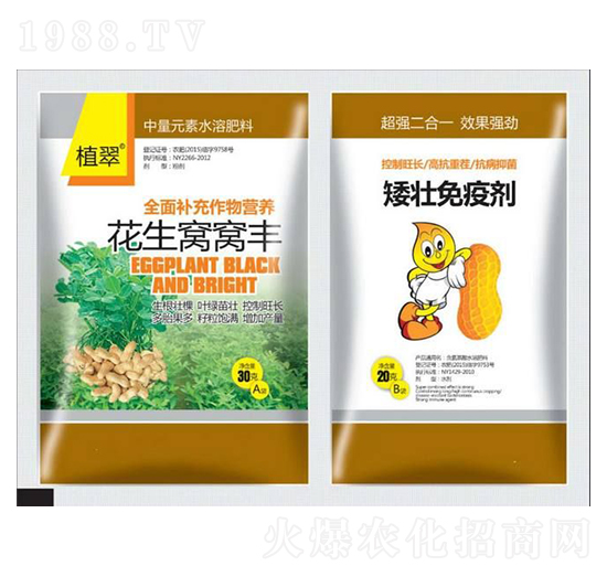 花生窩窩豐-鑫瑞豐