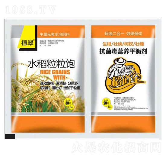 水稻粒粒飽-鑫瑞豐