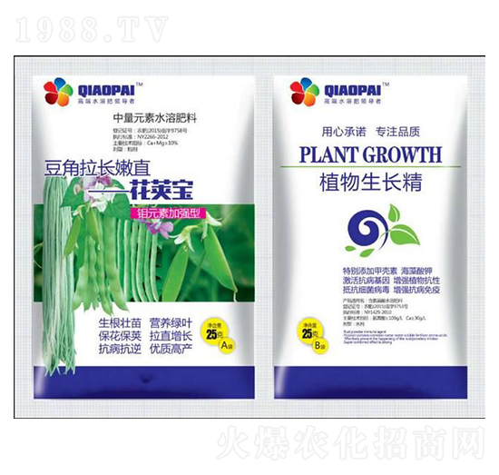 豆角拉長嫩直花莢寶-鑫瑞豐