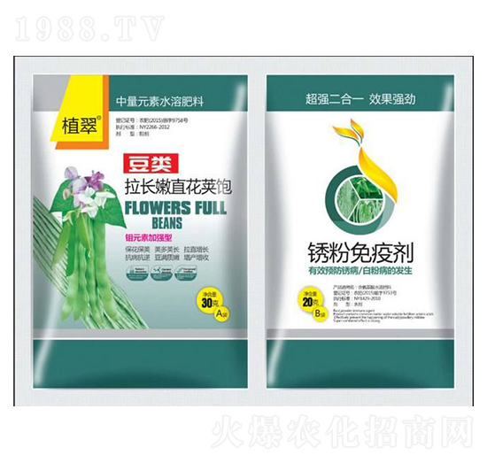 豆類拉長(zhǎng)嫩直花莢寶-植翠-鑫瑞豐