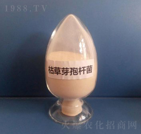 枯草芽孢桿菌（粉劑）-亮澤生物