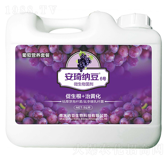 微生物菌劑-安琦納豆6號(hào)-商水納豆