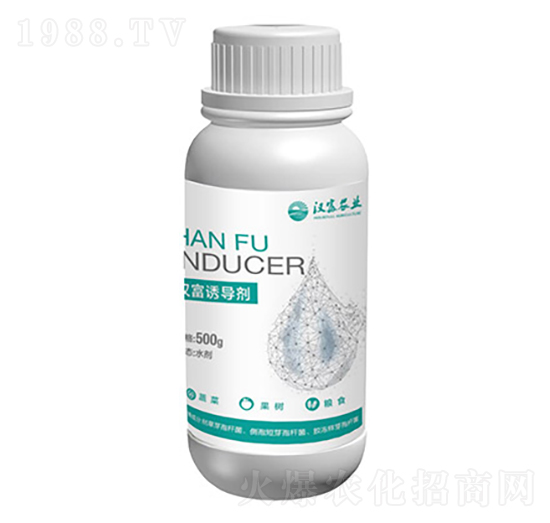 ��Q����̿�Ҳ��T��(d��o)��-�h���r(n��ng)�I(y��)