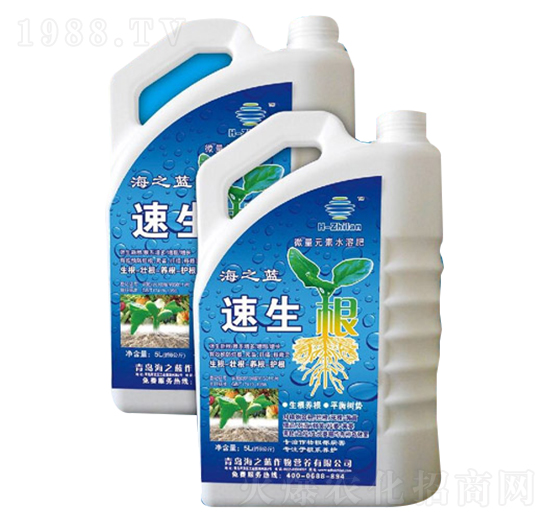 速生根-海之藍(lán)