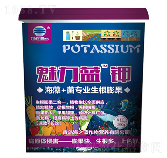 魅力藍鉀-海之藍