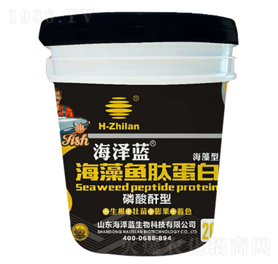 海藻魚肽蛋白-海澤藍-海之藍