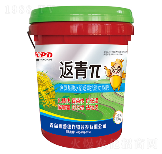 含氨基酸水稻返青抗逆功能肥-返青π-康普德