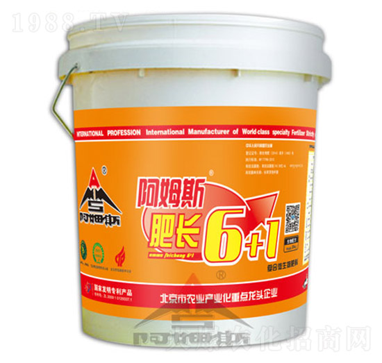 肥長(zhǎng)6+1-阿姆斯