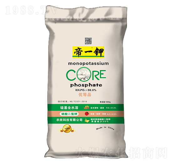 ��������-��һ�-�����