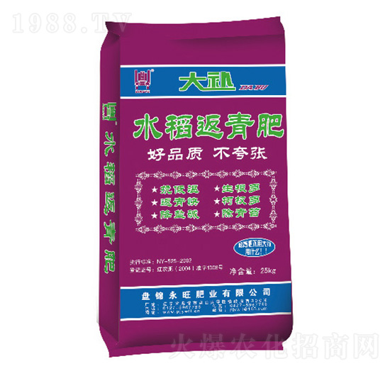 水稻返青肥-大補(bǔ)-永旺肥業(yè)