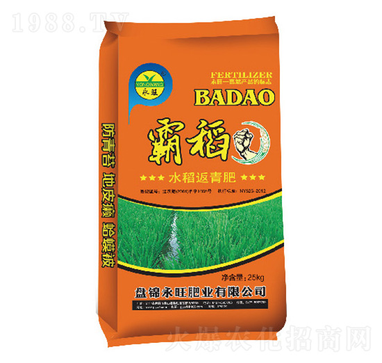 水稻返青肥-霸稻-永旺肥業(yè)