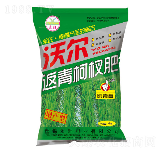 增產(chǎn)型返青柯杈肥-沃爾-永旺肥業(yè)