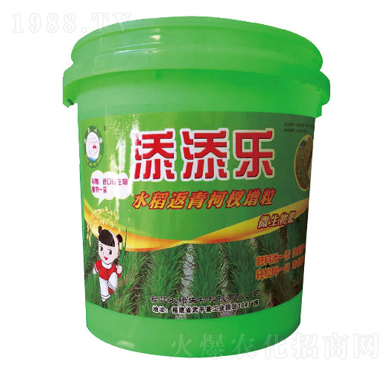 水稻返青柯杈增粒微生物產肥-添添樂-永旺肥業(yè)