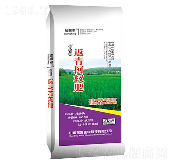 返青柯杈肥-瑞普生物